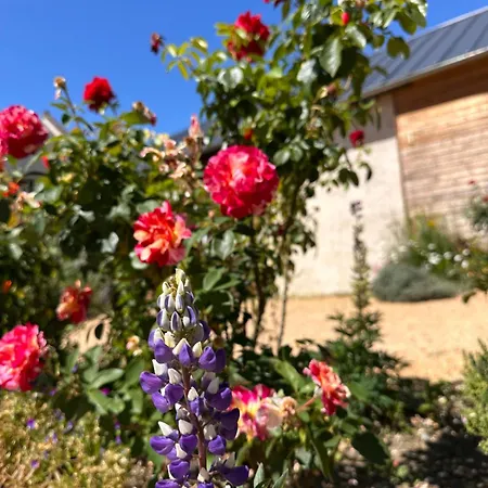 Bed & Breakfast La Ferme Oasis